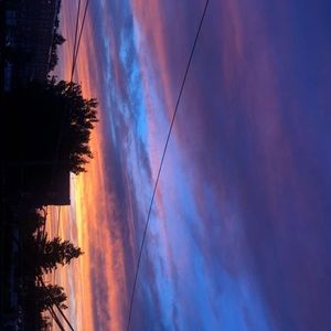 Meet your Posher, Jessie